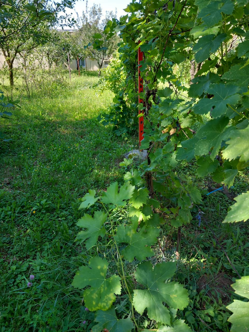 Investment (Project) in VOZDOVAC, Belgrade for Sale