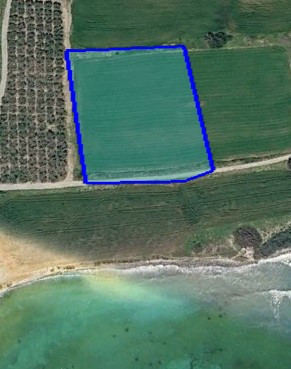 (Tourist) in Zygi, Larnaca for Sale