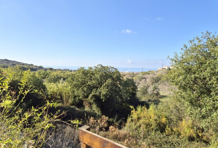 House (Detached) in Tala, Paphos for Sale