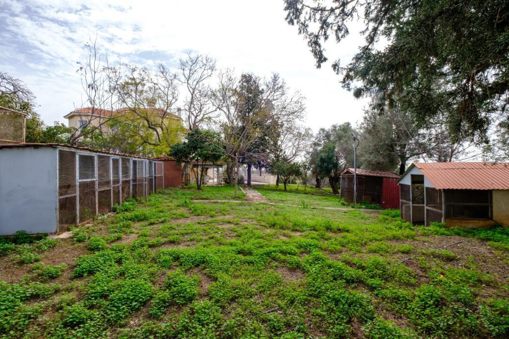 House (Detached) in Pegeia, Paphos for Sale