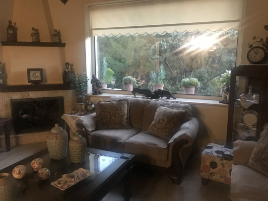 House (Detached) in Pera Pedi, Limassol for Rent