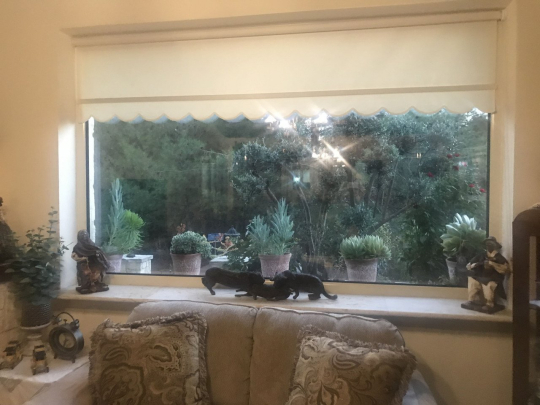 House (Detached) in Pera Pedi, Limassol for Rent