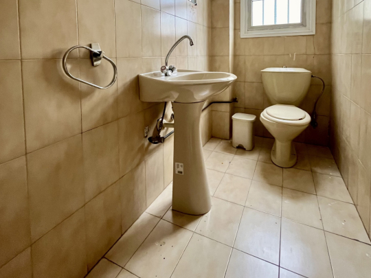 Apartment (Flat) in Agioi Omologites, Nicosia for Rent