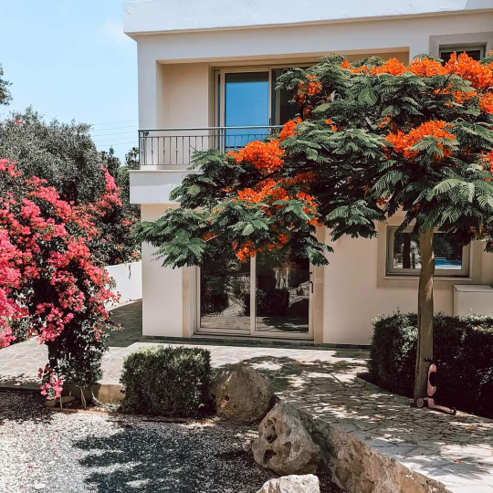 House (Detached) in Sea Caves Pegeia, Paphos for Rent